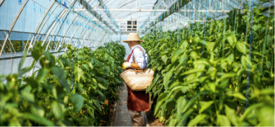 Energy-Efficient Production Processes made-sustainable-block