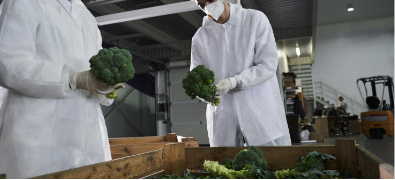 Traceability and Transparency with Certified Food Safety Team made-safe-image