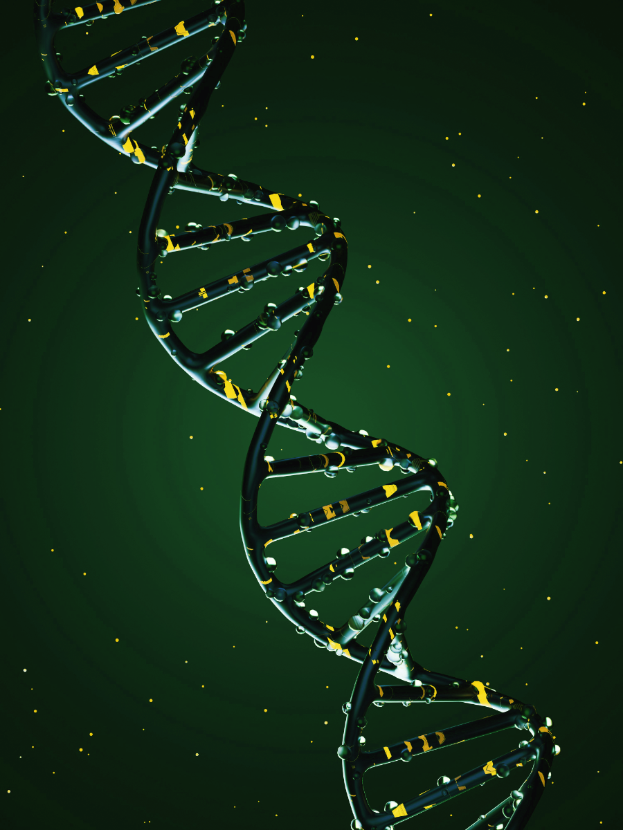 Nutrient Profiling Nutrient Profiling